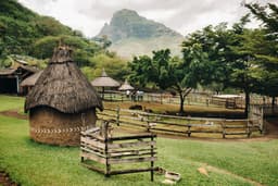 Casela Bird Park Tour