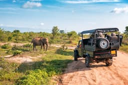 Community Service and Udalawe Safari