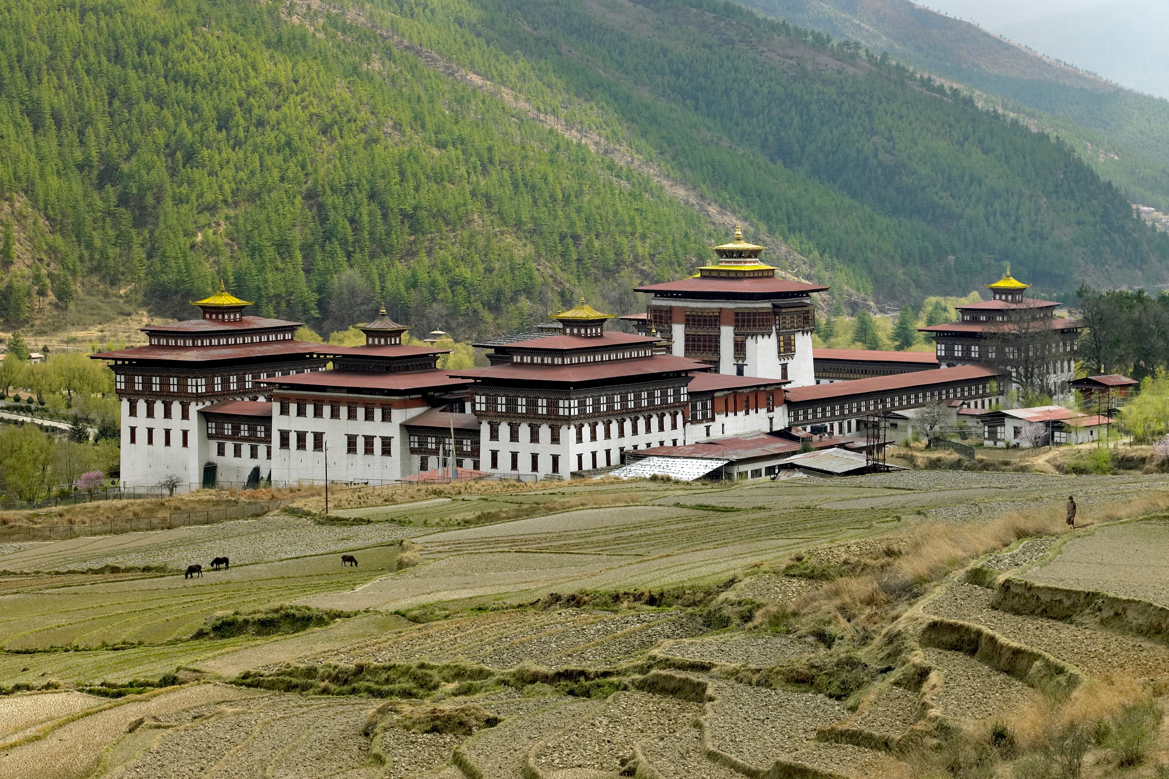 Thimpu Local Sightseeing media 1